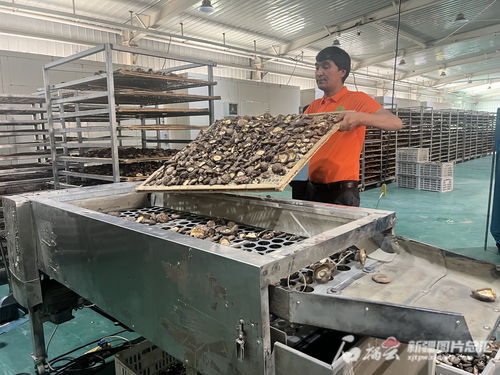 豐收節(jié)丨新疆 賦能鄉(xiāng)村振興 建設和美家園