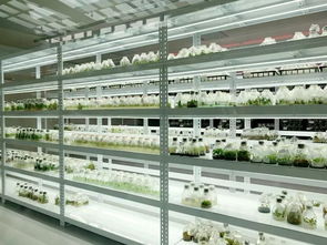 臺(tái)灣 五天從高雄到臺(tái)北tips 打卡明星夜市 潮人圣地