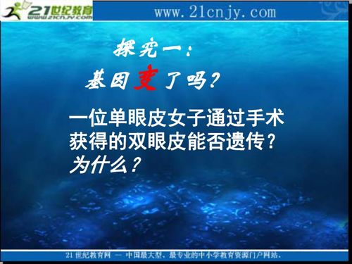 2010生物高考復習 生物科技 專題系列課件06 基因突變和基因重組 下載 生物