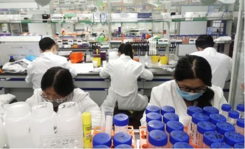 南京 新年第一會(huì) 真金白銀支持民營(yíng)經(jīng)濟(jì)發(fā)展壯大