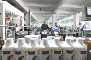 河北樂亭 承接京津產(chǎn)業(yè)轉(zhuǎn)移，打造生物科技聚集高地