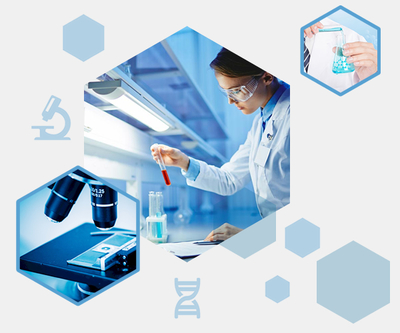 公司簡介 - 生物科技新星